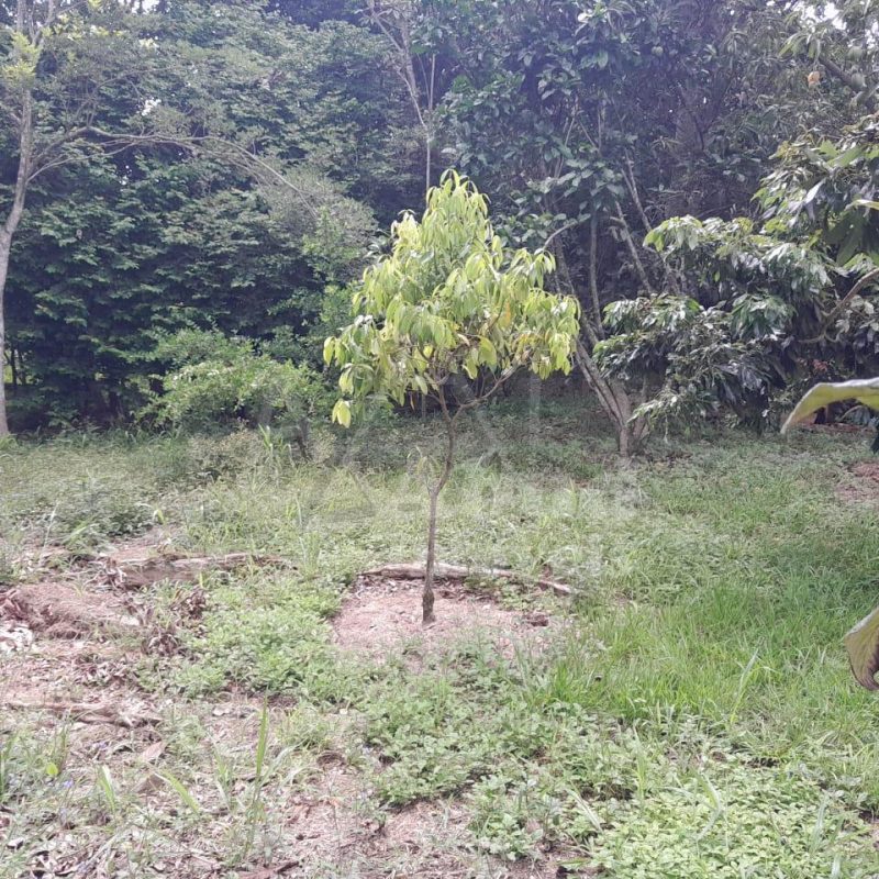 22fe23fd-7ee2-47b1-9674-3e88c6a9e621