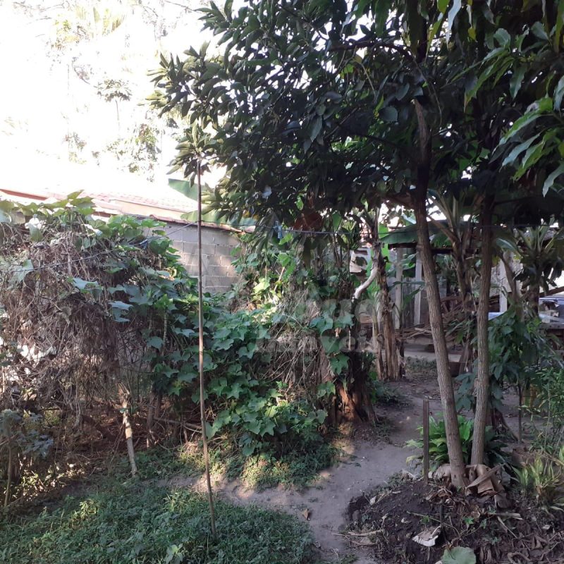 2dd03a9e-0aee-4b93-94f8-9a20eea42569