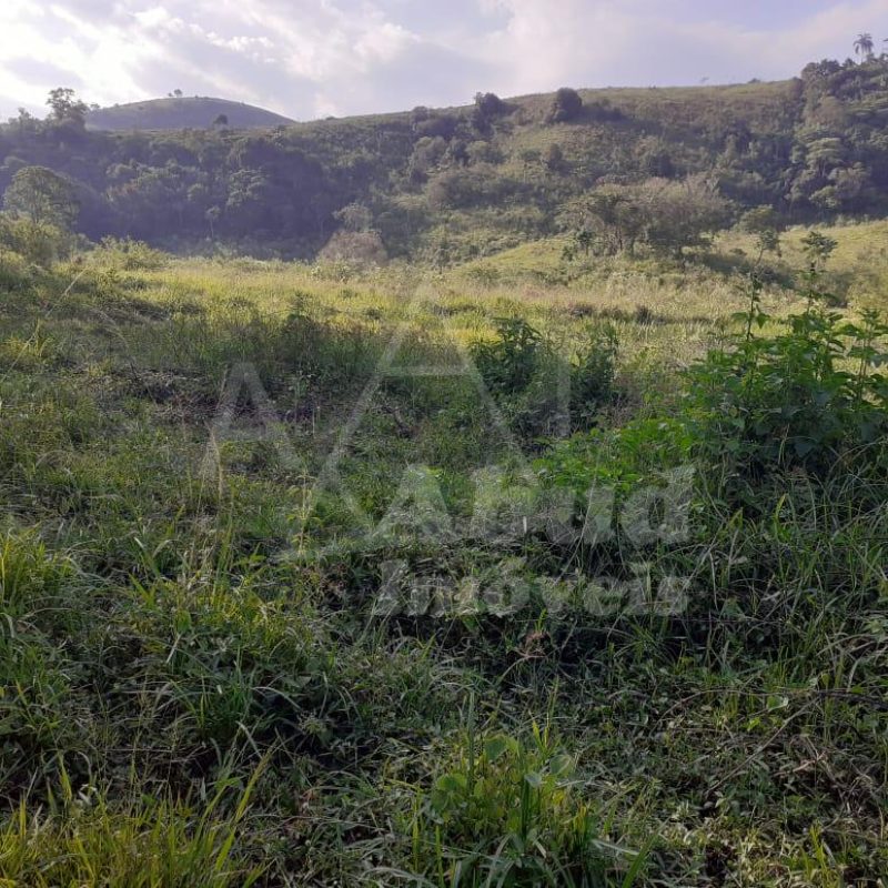 332d5d85-3bbf-4608-b69a-bb8b41588a96