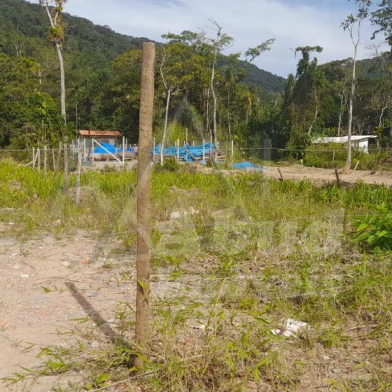 34a9a897-d8c9-4a37-8639-b19ebe77a4c5