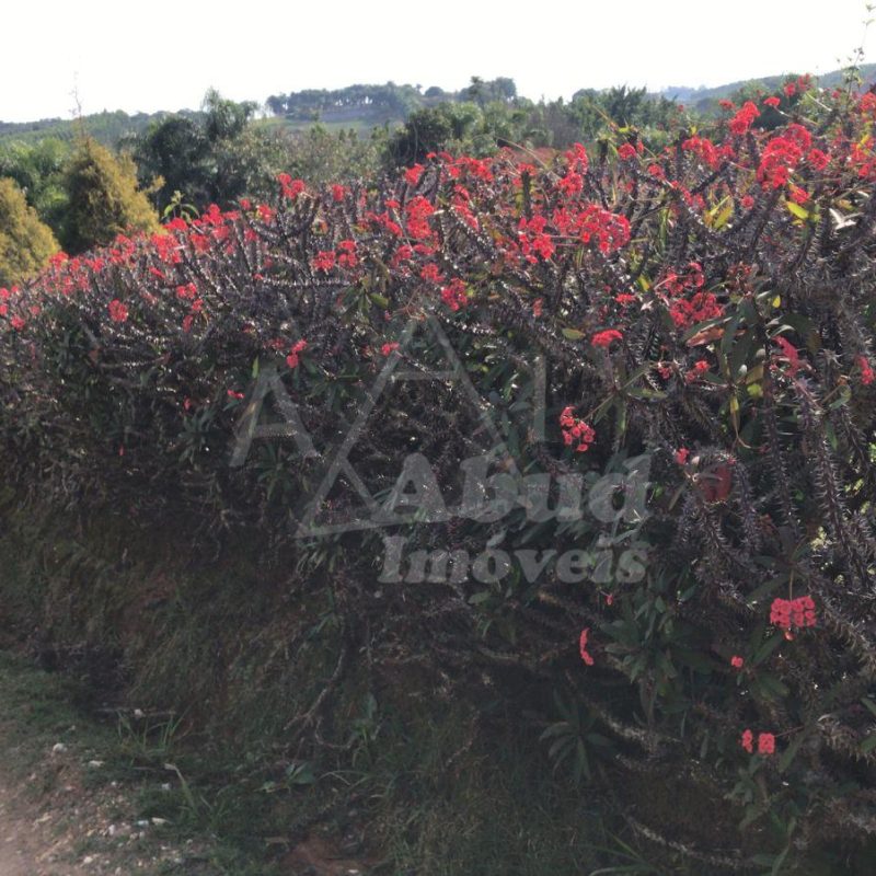 3bd3933a-e908-45fa-b1d1-b57a4967d439