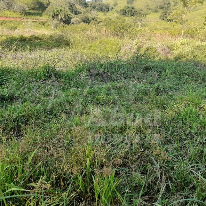 3e1b5973-36d4-4f0d-861b-71afc6a6743f