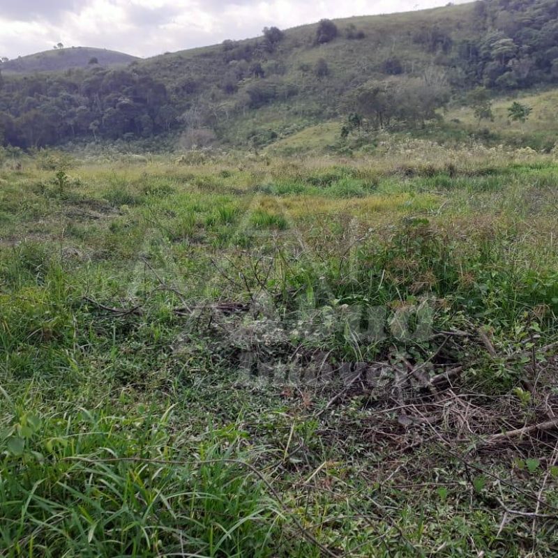 45c778c8-0c9f-4490-8979-3c6492b06b40