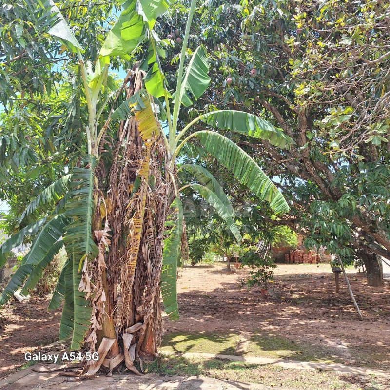 4df3dc57-2348-43fd-9db8-a3ff6e26ca70