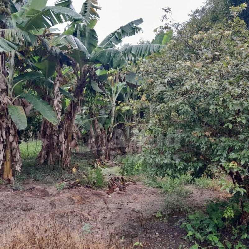 5ce4ee5d-bca2-420f-ab94-a3efa77613a7