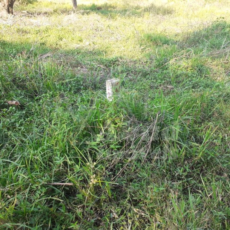 60c368e3-3304-445d-8afa-815ce9f2793b