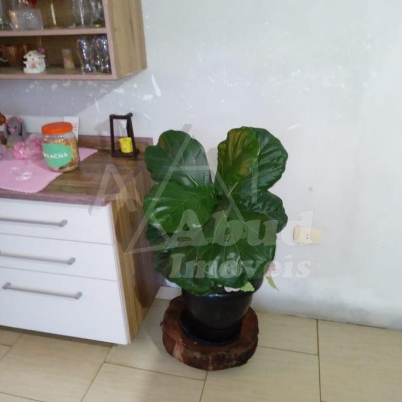 6689a98e-6c7c-48f1-8fa4-956269192894