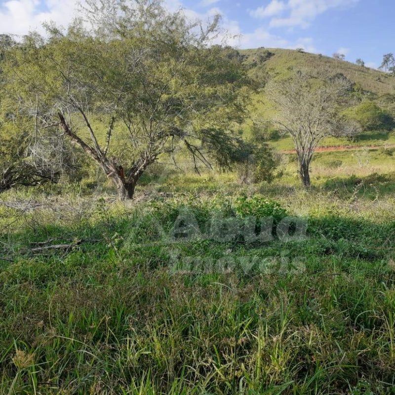 6732cca8-e66b-4171-bb6b-7604a7cf78c6