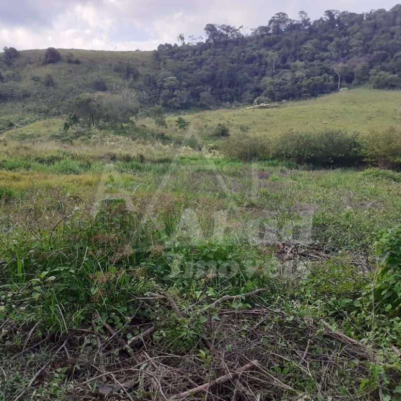 67d444c4-2df3-4a7b-b2d6-41736ca06ab4