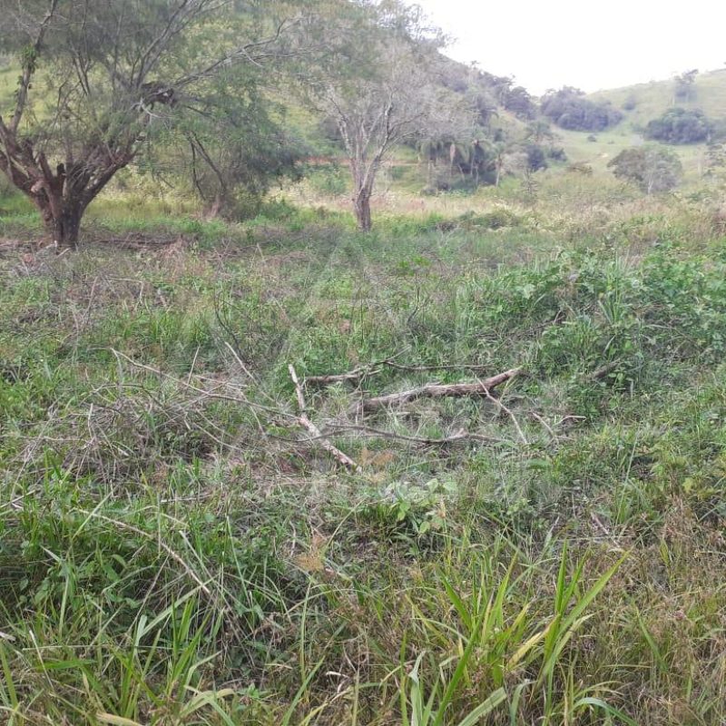 68e6bce2-d1dc-468a-993c-7d6b148a06d1