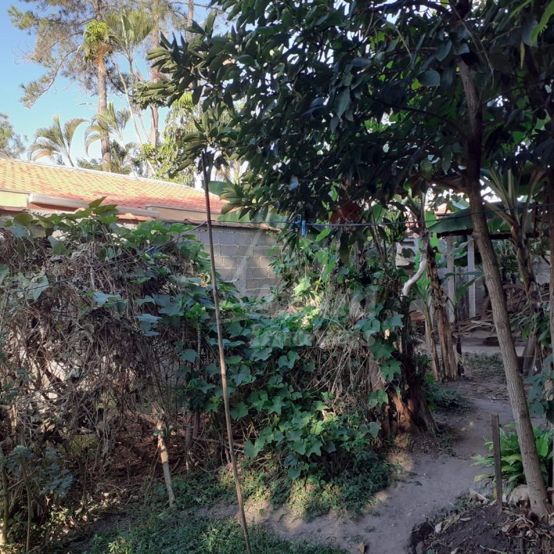 6f1a08e5-bcbb-48c4-bcec-9780fe06513a