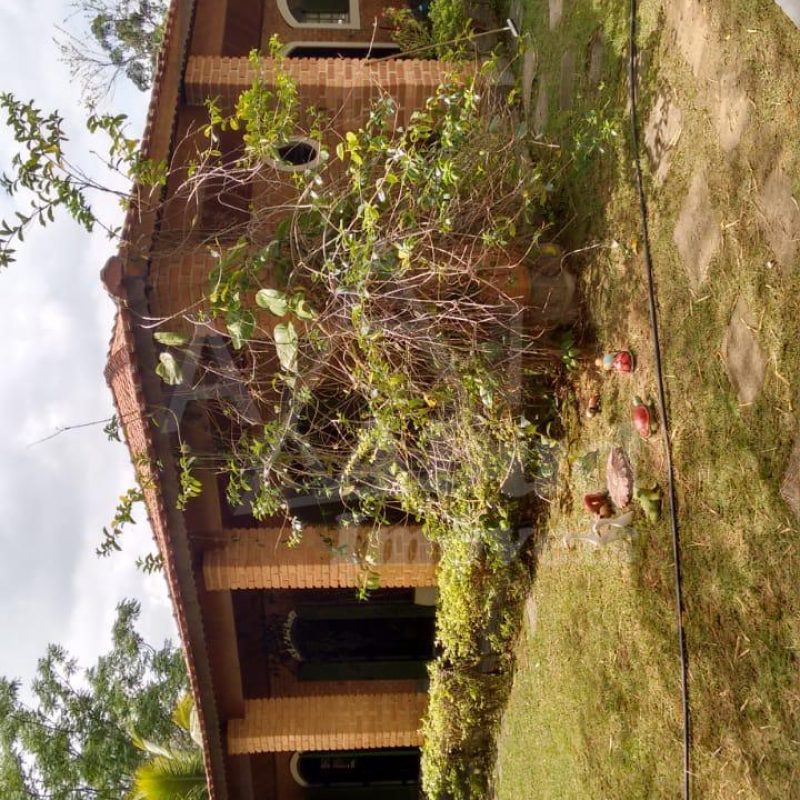 7ba45b99-ae24-4e20-9676-efff78331f1f (1)