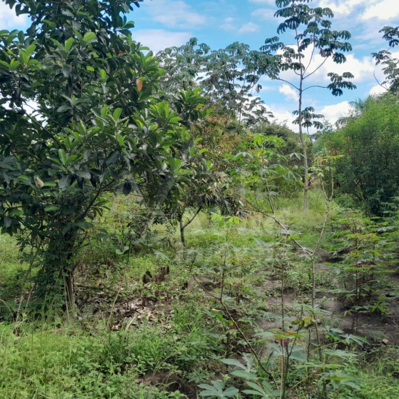 80465eb8-506a-4cf1-b732-b10d43607f84