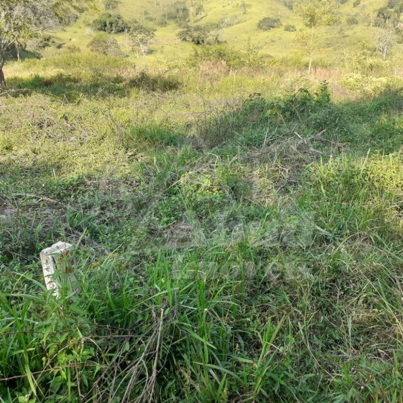 9122d79a-c4d8-404c-beac-be015ec969ca