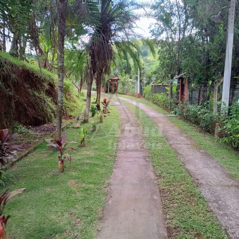 98ac038f-36fe-4fcd-87e9-fcbe47faf5c4