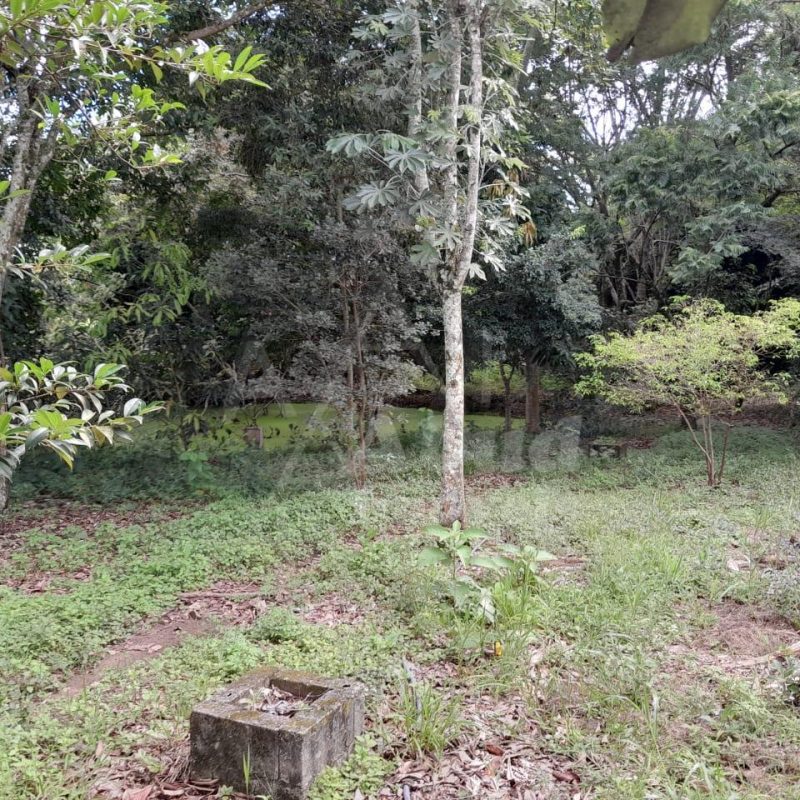 a58368fa-8076-4300-bed1-45ad39c8ebd0