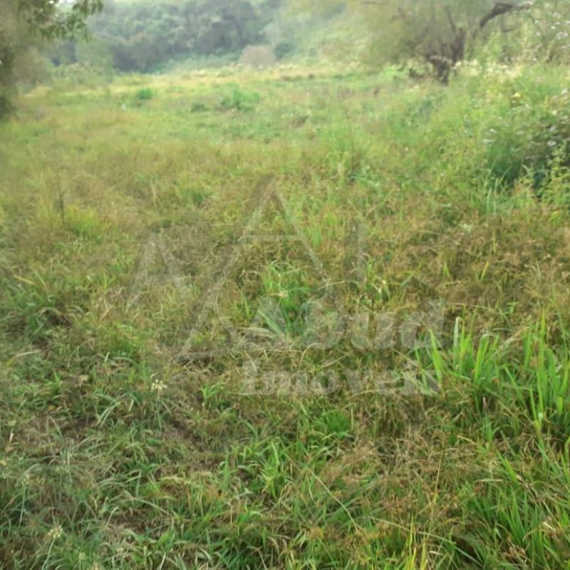 aba530a2-619b-4f04-b44f-8982f722abdc