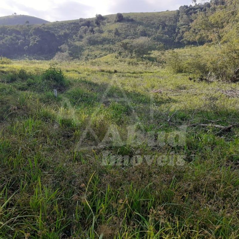 b7d635a7-61a2-4cf8-b9d2-9b1cc3e54a27