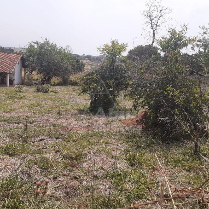 b8d38458-6019-4830-82c8-9208ab150c14