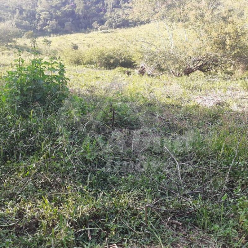 bb2ada9c-f1ac-491a-9004-ba053ef11179