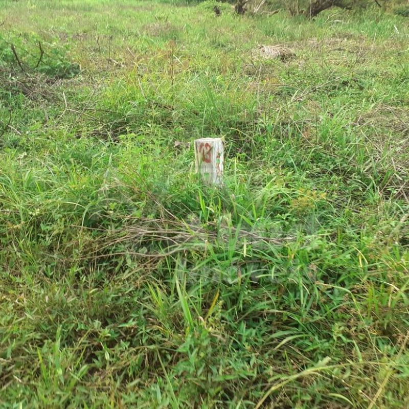 c86f197b-2e47-49f6-ae75-0da41bc2ff21