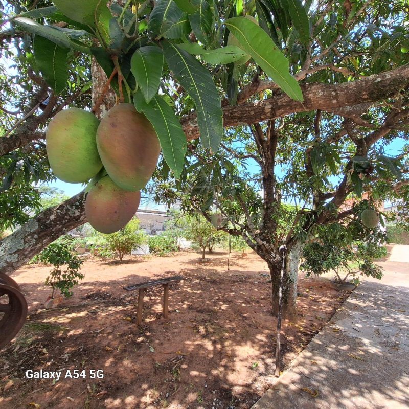 e804f9aa-bedc-4198-9b03-bc08fc9bc5b6