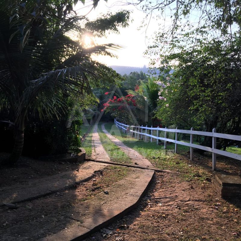 f3e63245-7df3-4265-88ea-155248b97492